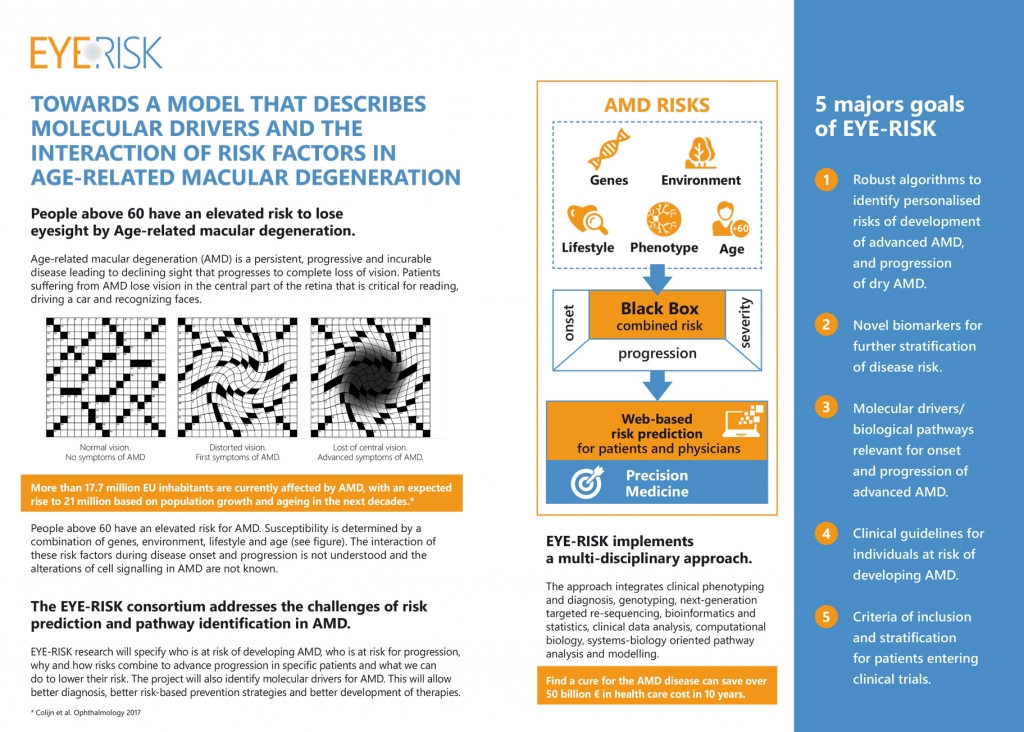 Health Risk Eye Eye-Risk | Barcelona Macula Foundation: Research for Vision