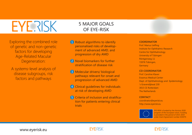 eye-risk-brochure-tubingen-frontpage | Barcelona Macula Foundation ...