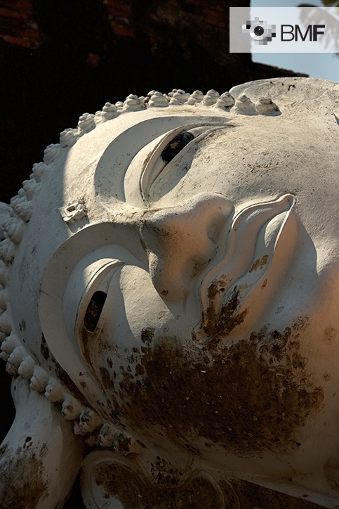 Primer pla d'un cap gegant rocós d'un Buda amb la mirada perduda. La part inferior del rostre està cobert de la molsa creada amb el pas del temps.